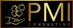 PM International Consulting